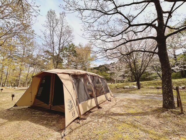 久しぶりのファミキャン⛺️

ここ#与田切公園キャンプ場 でもまだまだ花見キャンプが出来ました🌸

次はGW！
キャンプブームが去ったと思いきや、キャンプ場も予約で一杯😅

子供と行けるキャンプも、あと何回か分かりませんが、今年は沢山行きたいな😊

…今回も最後までご覧頂き、ありがとうございます😊

⚫️◯●⚪︎●◯⚫️

#ogawa #アポロン #オガワテント #ogawacampal #appollon #camp #familycamp #outdoors #camplife #アウトドア好き #露營 #露營生活 #キャンプ #子連れキャンプ #campbox #キャンプ #ファミリーキャンプ #キャンプ好きな人と繋がりたい #camp_outdoor_jp #コレキャン #campic掲載 #cample掲載希望 #hinataoutdoor #キャンプ好きな人と繋がりたい #外遊び #子供のいる暮らし #camphack取材 #キャンプギア #blackdesign #hinataoutdoor #iyashi_camp #ナチュラルキャンプ
