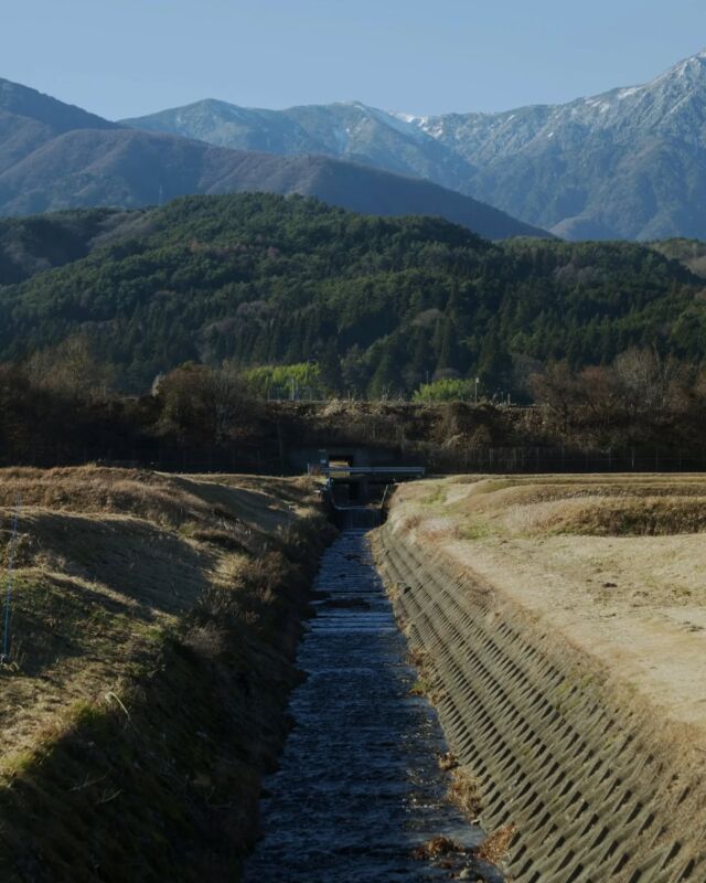 ＼農と自然の豊かさ②／  今回は飯島町外で暮らす
フォトアンバサダーMinakoさんの
移住をイメージしたお話をご紹介します✨️  ----------------------------  飯島を散策していると、
お散歩というより、畑の見学になってきます。
「ここでは何を育てているんだろう！」と、
まじまじ見てしまいます。  それがとても楽しいのは、
もし飯島町に移住したら、
農に携わりながら暮らしたいと思っているからです。  農と自然の豊かさ、
そして都市化していない、
ゆったりとした時間の流れに惹かれています。  今の時期、冬の畑には、
わずかな冬野菜を除けば
何もないように見えるのですが、
秋に整えられた田畑や水路は
とても美しく、見事だなと感嘆します。  そろそろ農家さんたちは、
屋内での種まきを始める頃でしょうか。  ----------------------------  photo＆text
フォトアンバサダーMinakoさん
@chrono.graph.2026  ----------------------------  #iijimanote #イイジマノート
#フォトアンバサダー#自然と農
#長野県 長野観光 長野 伊那谷 南信州
飯島町 飯島 いいじま
移住 定住 田舎暮らし 移住生活 移住女子
田舎で子育て 田舎で暮らす