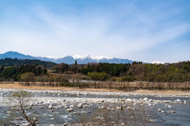 ＼いいじまで春さがし🌷②／  少しずつ色づくまちの景色に
心もふわっと軽くなります♪
今回は飯島町内で見つけた
春をご紹介します！  -—————————  飯島の春を探して。
3月22日の飯島町内をドライブしました。  アグリネイチャーいいじま
@agrinatureiijima の
ビオトープでネコヤナギの花と
水芭蕉を発見。  日方磐神社では菜の花が
綺麗な花を咲かせていました。
ここはもう少しすると
美しい花桃が見られます。  藤巻川の桜並木では
早咲きの桜や梅の花を見つけました。
4月になれば昼間はもちろんですが、
夜にライトアップされた桜も楽しめます。  畑や田んぼの畦には、
ムスカリや水仙も咲いていました。  町内には所々で桜が咲いていて
緑が少ない中で輝いていました。  最後は中川村との境にある飯沼橋を渡り、
中川村側から
天竜川越しのアルプスの景色を楽しみました。  今年は桜が早いようなので、
これから飯島の桜の名所が
賑やかになるのが楽しみです。  今回の @misuzu_shinshu さんとのコラボは、
早咲き桜のお花見に来たくまさんです。
バスケットには
飯島の美味しいお弁当が入っているのでしょうか。
とても楽しそうですね。  -—————————  photo＆text
フォトアンバサダー前田隆幸さん
@metabolikuma1  -—————————  #iijimanote #イイジマノート
#フォトアンバサダー
#春さがし #町内ドライブ
長野県 長野観光 長野 伊那谷 南信州
飯島町 飯島 いいじま
移住 定住 田舎暮らし 移住生活 移住女子
田舎で子育て 田舎で暮らす