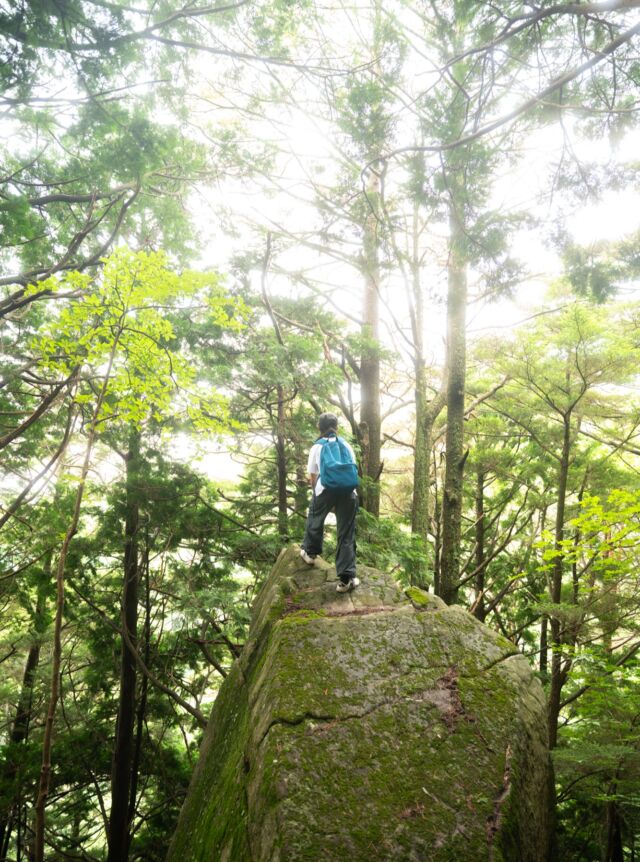 令和7年度飯島町観光協会フォトコンテストインスタグラム部門でこの写真が入賞しました。
　長野県飯島町の座禅岩で友人の娘さんを撮影しました。
　大きな岩がたくさんある座禅岩。
山道を30分登ってたどり着いた神秘的な場所でした。  #伊島町
#座禅岩
#長野
#南信州
#信州
#長野のいいところ
#しあわせ信州
#ファインダー越しの私の世界
#写真好きな人と繋がりたい
#一眼レフ
#ミライに届けたい日本の風景
#長野列車旅 
#sonyalpha
#α7iii
#japanphoto
#japantrip
#photo_jpn
#japanesestyle
#trip
#travel
#local  #naturephotography
#naturephoto
#flowers
#iijimanote
#イイジマノート
#いいじまの魅力
#フォトコンテスト