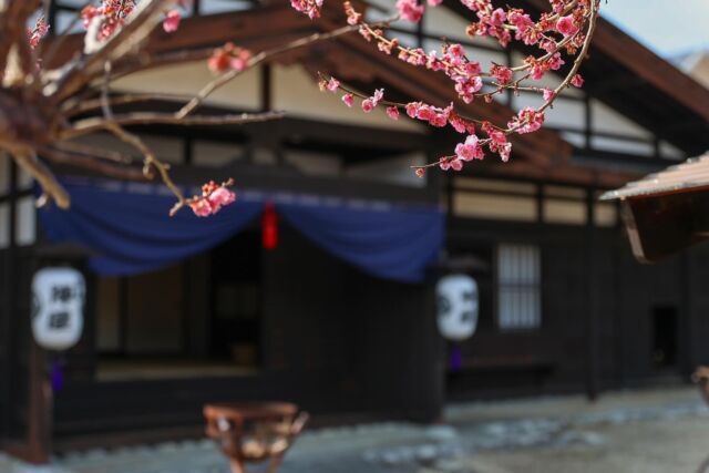 ＼飯島陣屋②／  今回は「飯島陣屋」のご紹介
かつて地域を治める拠点として
栄えた歴史ある場所だそう
当時の面影を感じながら
散策もおすすめです  ——————  ［飯島陣屋］  江戸時代が終わり、
明治政府によって「伊那県」が創設されて
ここ飯島陣屋が県庁として
政が行われていた時代があるのをご存じですか？  現在の建物は
明治時代に取り壊されたものを
発掘調査や古文書をもとに
再現されたものだそうですが、
時代劇でよく目にするような
「お裁き」の部屋があったり、
「御用」の提灯や十手があったり・・・  囲炉裏やかまどのある空間には
当時の暮らしの様子が垣間見えるようでした。  庭の紅梅はつぼみを膨らませ、
咲き始めているものもチラホラ。  お花見がてら時代の流れを感じに
出かけてみてはいかがでしょうか。  ——————  飯島陣屋
上伊那郡飯島町飯島2309-1
TEL　0265-86-4212
開館時間　9:00 – 17:00
休館日　月・祝日の翌日
入館料　一般300円（団体250円）  ——————  photo＆text
フォトアンバサダーmiwaさん
@mw24_photograph  ——————  #iijimanote #イイジマノート
#フォトアンバサダー
#飯島陣屋 #まち歩き
長野県 長野観光 長野 伊那谷 南信州
飯島町 飯島 いいじま
移住 定住 田舎暮らし 移住生活 移住女子
田舎で子育て 田舎で暮らす