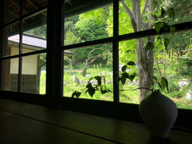 ＼いいじまの春の暮らし①／  新緑がきらめく季節
花や緑があざやかに息づいています🌱
今回は飯島町での
暮らしのひとコマをご紹介します  —————————  古民家に入居して一年、新たな春です。  ぐんぐん動き出す草木や鳥、虫たち。
昨年植えた花木も
かわいく咲いてくれました。  私は窓から眺めたり、
長靴をはいて散歩したり。
発見にあふれた時間を受け取っています。  農具小屋の隅に、
ほんの数日でできあがった
キセキレイの巣。  道具を取りに行くときには
「ちょっと失礼しますよ」
卵を抱くお母さんを驚かせないように、
小さく声をかけながら。  散歩の手土産には、
自生しているニラと三つ葉。  いつか役場でいただいた
「飯島町の生きもの図鑑」。
私の傍で役立ってくれています。  —————————  photo＆text
フォトアンバサダーハルカさん
@kimataharuka  —————————  #iijimanote #イイジマノート
#フォトアンバサダー
#古民家暮らし #春
長野県 長野観光 長野 伊那谷 南信州
飯島町 飯島 いいじま
移住 定住 田舎暮らし 移住生活 移住女子
田舎で子育て 田舎で暮らす